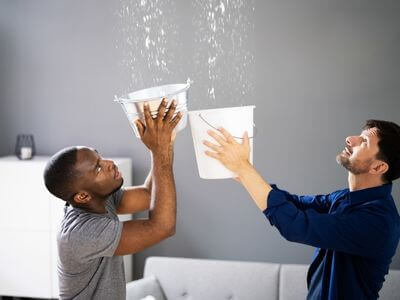 About Plainview Mold Specialist - mold removal experts in Plainview, NY